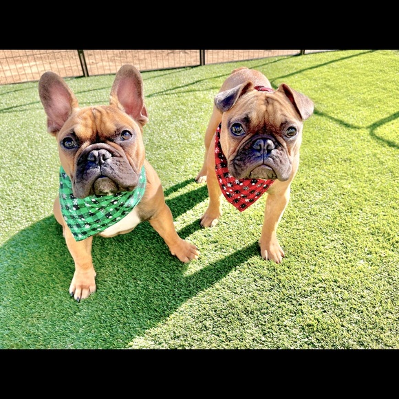 Meet your Posher, Kaylee - Picture 8 of 16